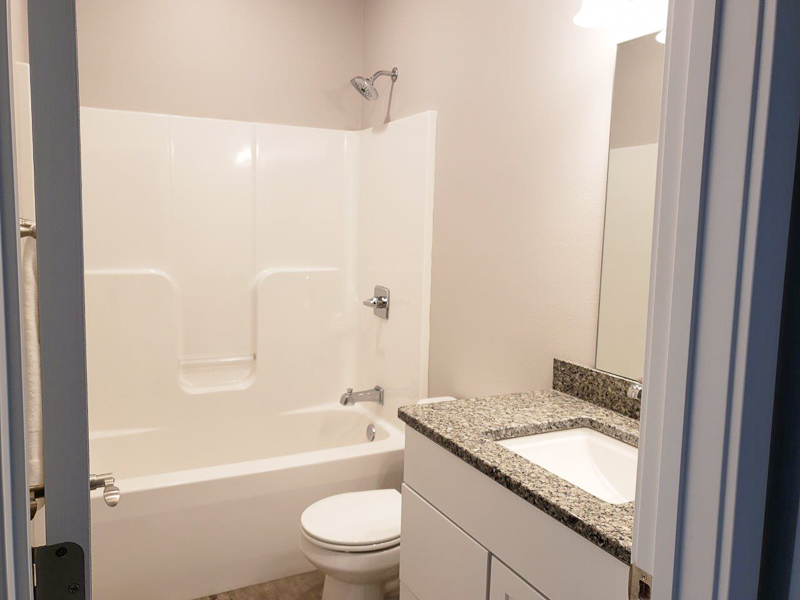 Apex Construction Iowa City IA New Home 110 Cherry Lane Riverside Iowa bathroom shower